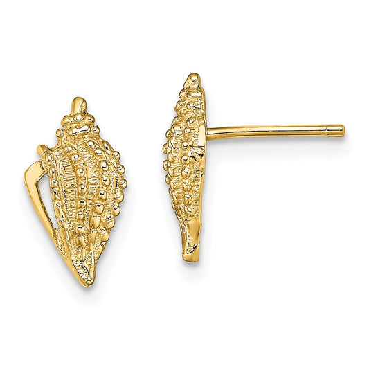 Million Charms 14k Yellow Gold Mini Conch Shell Post Earrings, 11.45mm x 6.2mm