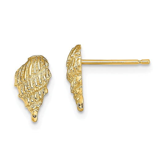 Million Charms 14k Yellow Gold Mini Conch Shell Post Earrings, 9.8mm x 5.65mm