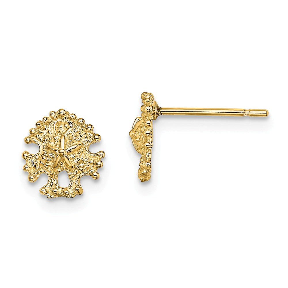 Million Charms 14k Yellow Gold Mini Sand Dollar Post Earrings, 7.6mm x 7.15mm
