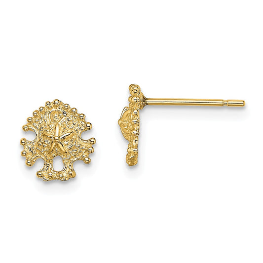Million Charms 14k Yellow Gold Mini Sand Dollar Post Earrings, 7.6mm x 7.15mm