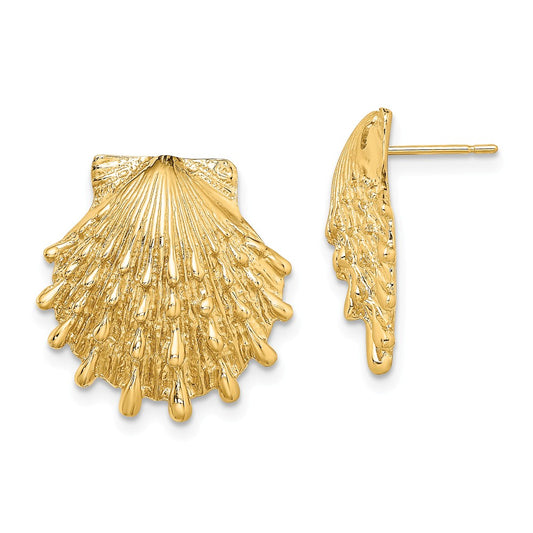 Million Charms 14k Yellow Gold Lion's Paw Shell Post Earrings, 18.6mm x 17.9mm