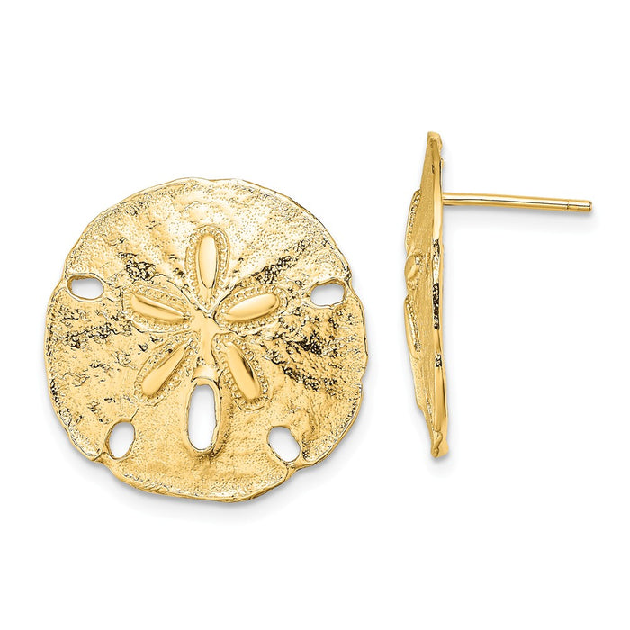 Million Charms 14k Yellow Gold Polished Sand Dollar Post Earrings, 19.8mm x 19.9mm
