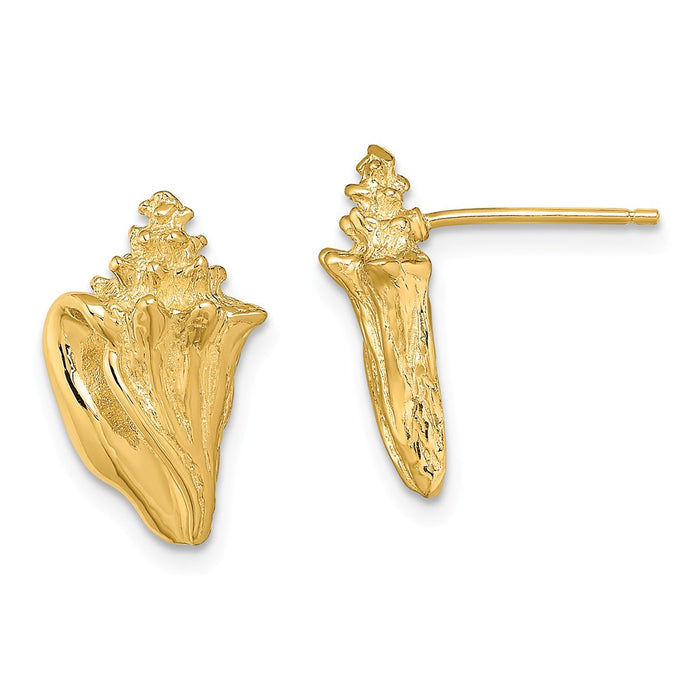 Million Charms 14k Yellow Gold 2-D Conch Shell Post Earrings, 15.45mm x 10mm