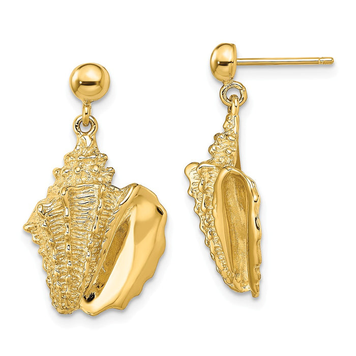 Million Charms 14k Yellow Gold 2-D Conch Shell Dangle Post Earrings, 24.55mm x 14.1mm