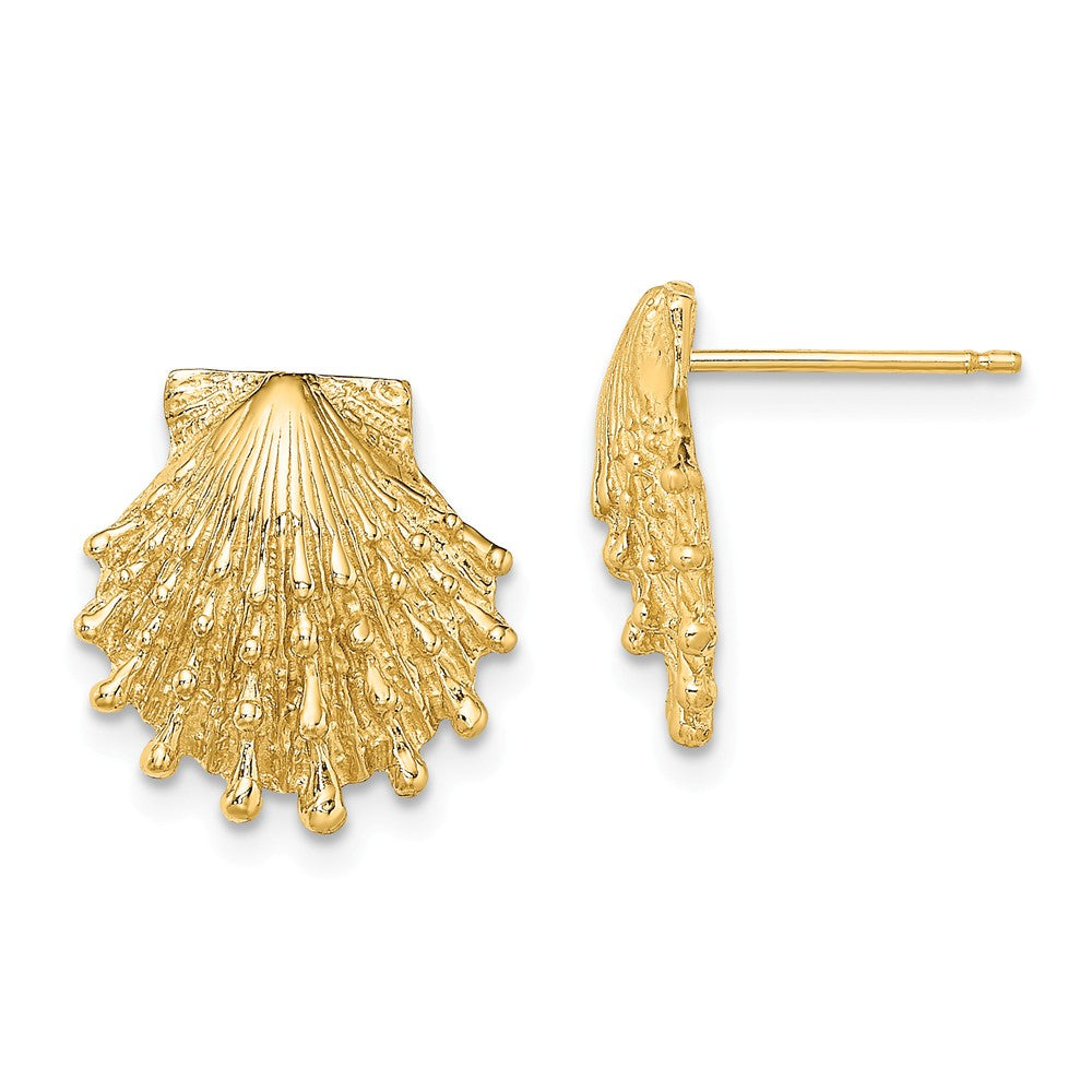 Million Charms 14k Yellow Gold Lion's Paw Shell Post Earrings, 13.9mm x 13.5mm