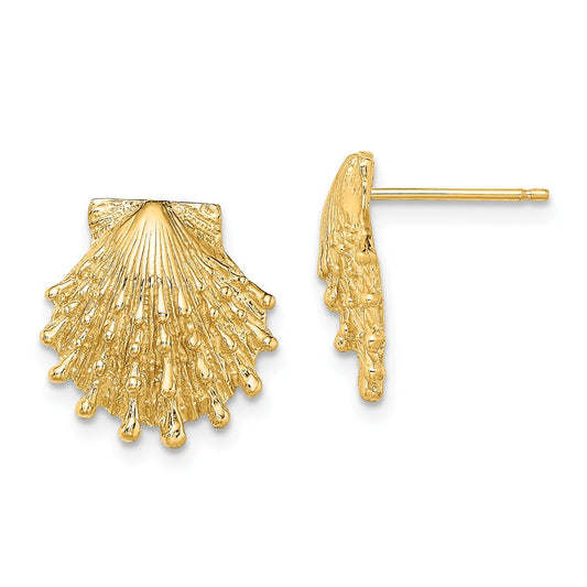 Million Charms 14k Yellow Gold Lion's Paw Shell Post Earrings, 13.9mm x 13.5mm