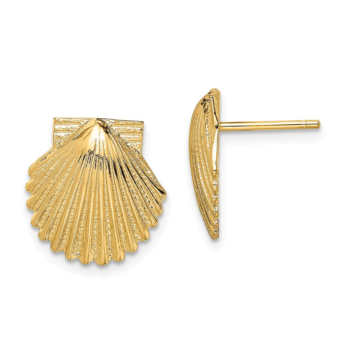 Million Charms 14k Yellow Gold 2-D Polished Scallop Shell Post Earrings, 12.45mm x 11.92mm