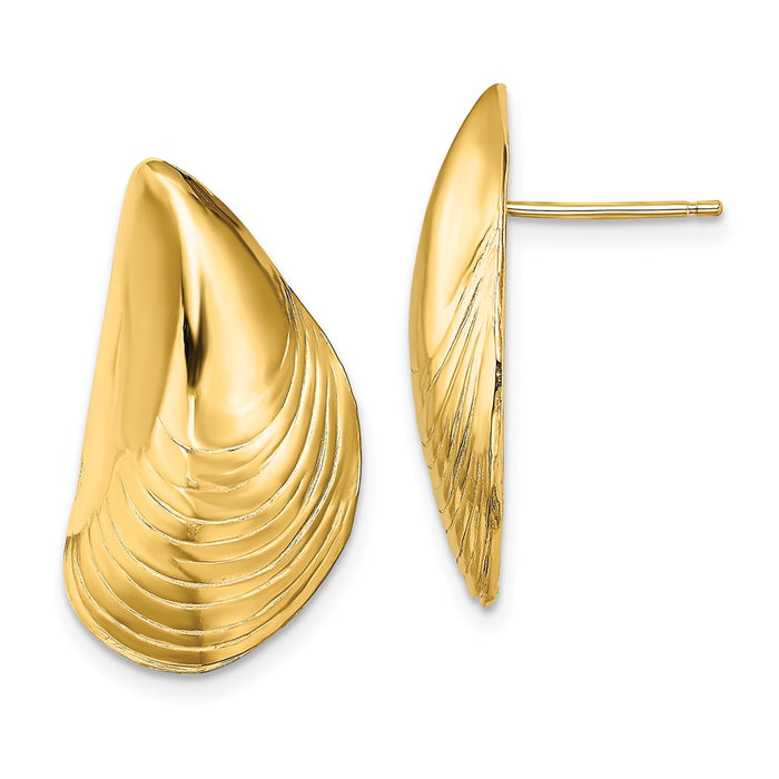 Million Charms 14k Yellow Gold Polished Mussel Shell Post Earrings, 24.4mm x 13.2mm