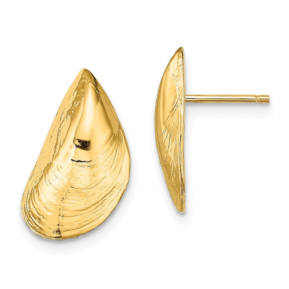 Million Charms 14k Yellow Gold MUSSEL SHELL POST EARRINGS / HP (2 OF 2), 15.8mm x 9.9mm