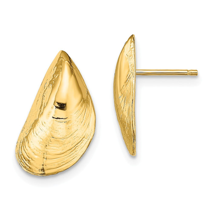 Million Charms 14k Yellow Gold MUSSEL SHELL POST EARRINGS / HP (2 OF 2), 15.8mm x 9.9mm
