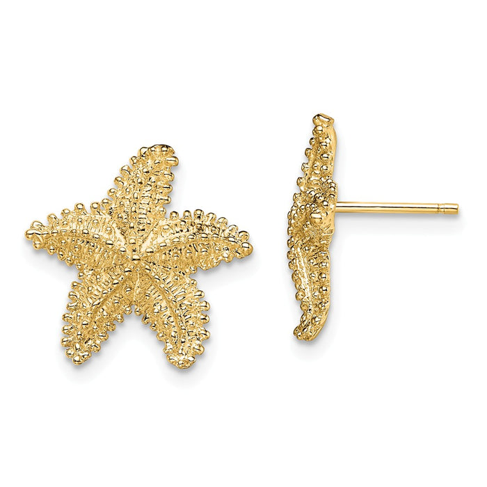 Million Charms 14k Yellow Gold Textured & Beaded Starfish Post Earrings, 15.3mm x 15.6mm
