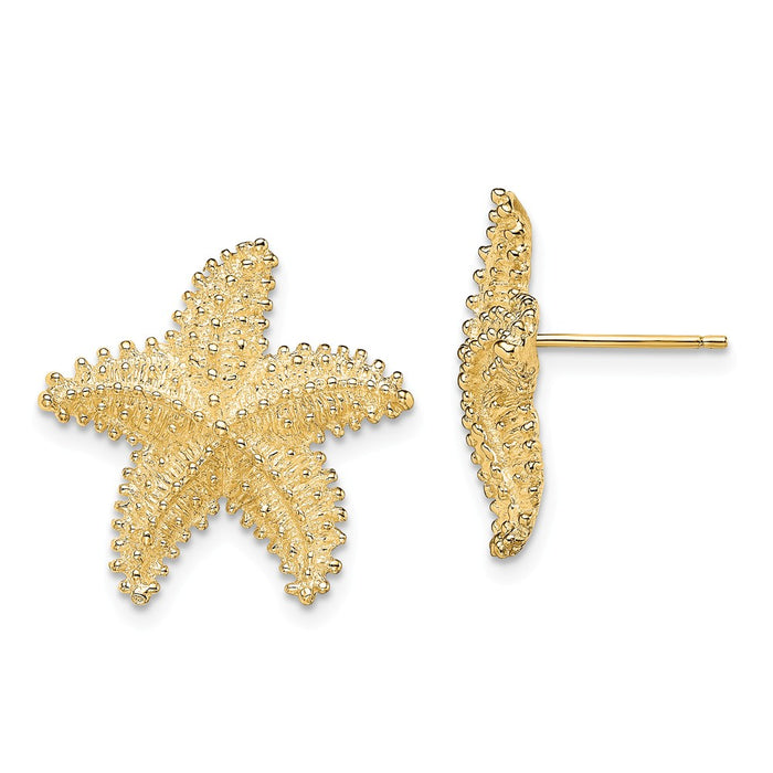 Million Charms 14k Yellow Gold Textured & Beaded Starfish Post Earrings, 18mm x 18.9mm