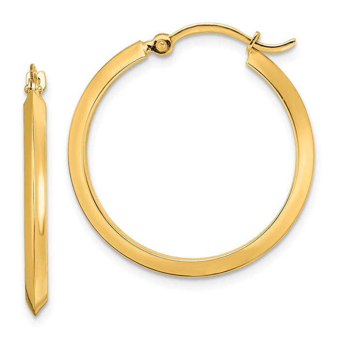 Million Charms 14k Yellow Gold Polished Hoop Earrings, 26mm x 25mm