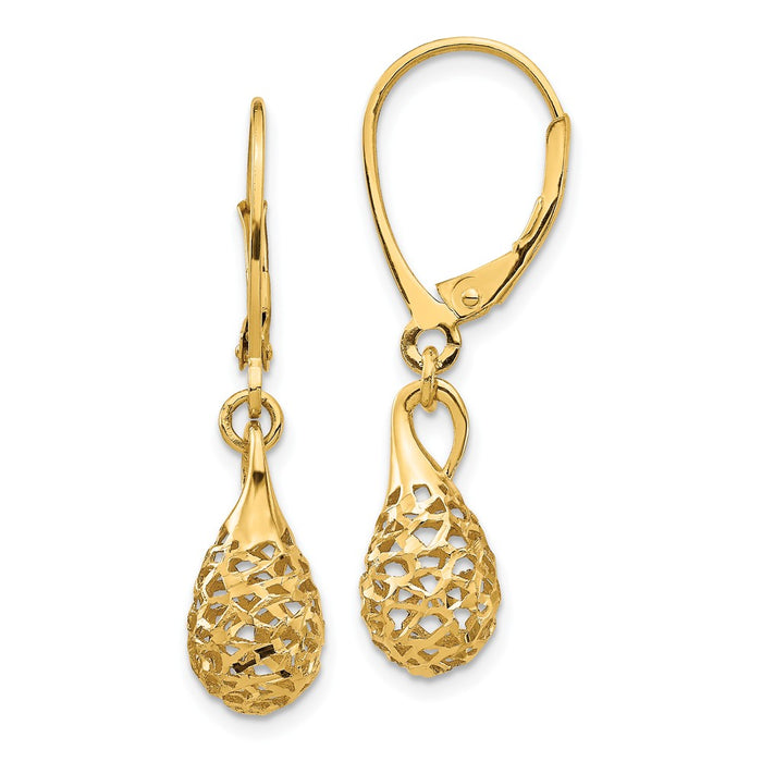 Million Charms 14k Yellow Gold Diamond-Cut Dangle Leverback Earrings,