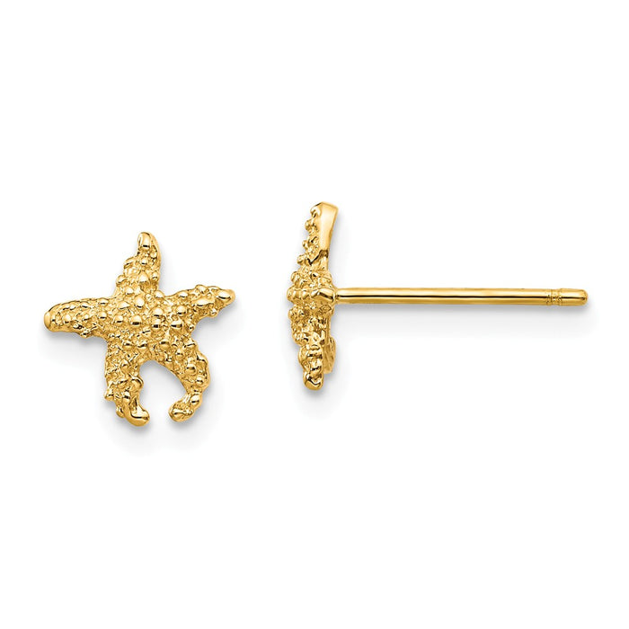 Million Charms 14k Yellow Gold Polished & Textured Starfish Post Earrings, 9mm x 8mm