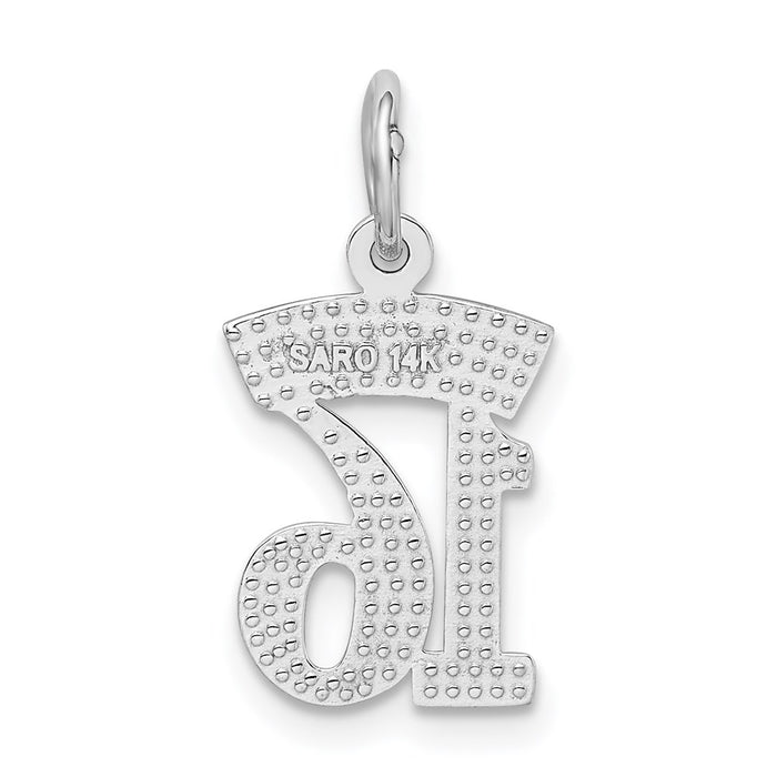 Million Charms 14K White Gold Themed Sweet 16 Birthday Charm