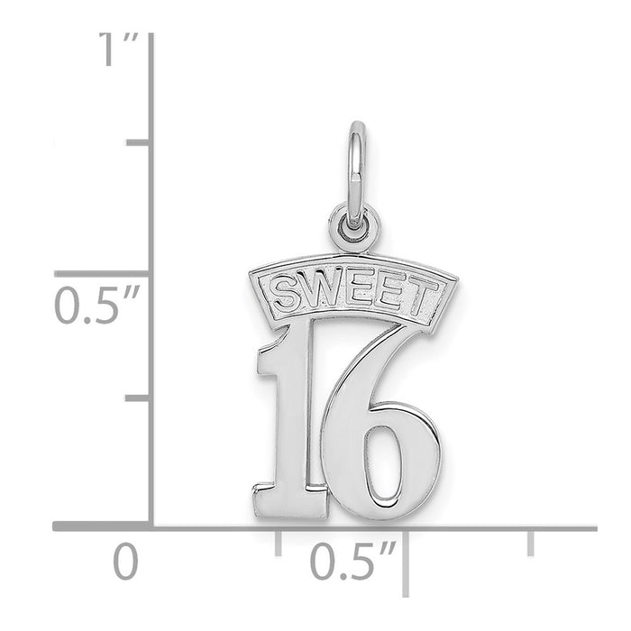 Million Charms 14K White Gold Themed Sweet 16 Birthday Charm