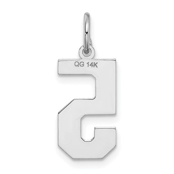 Million Charms 14K White Gold Themed Medium Satin Number 5 Charm