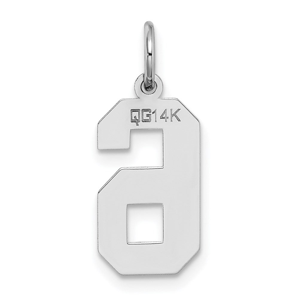 Million Charms 14K White Gold Themed Medium Satin Number 6 Charm