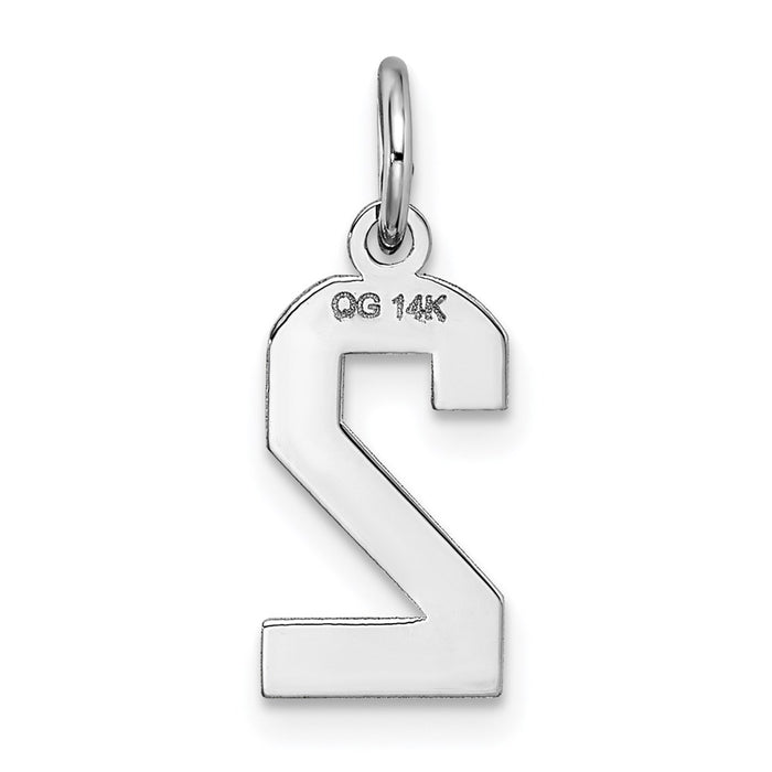 Million Charms 14K White Gold Themed Small Satin Number 2 Charm