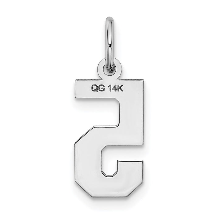 Million Charms 14K White Gold Themed Small Satin Number 5 Charm