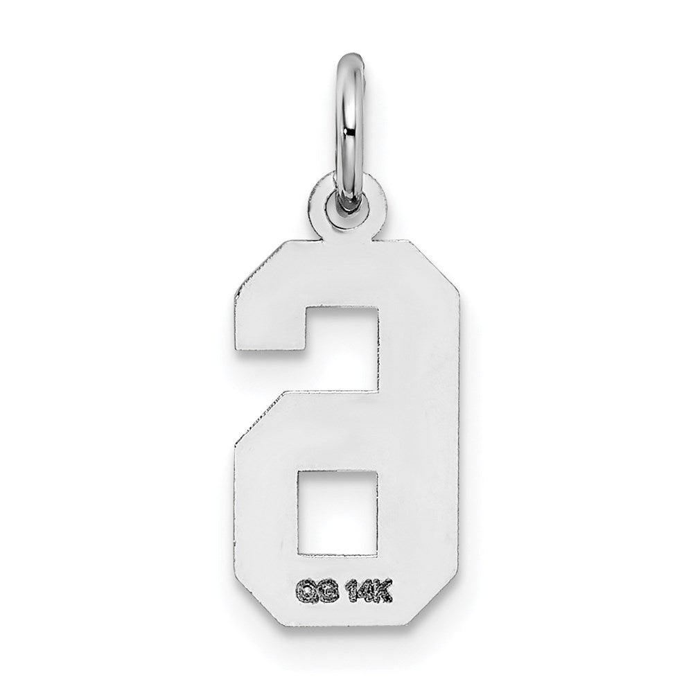 Million Charms 14K White Gold Themed Small Satin Number 6 Charm