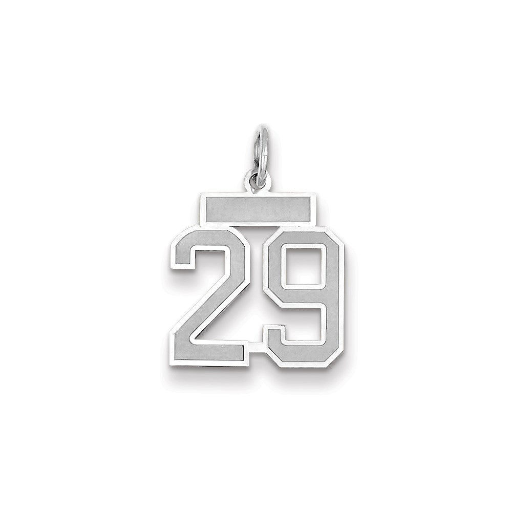 Million Charms 14K White Gold Themed Small Satin Number 29 Charm