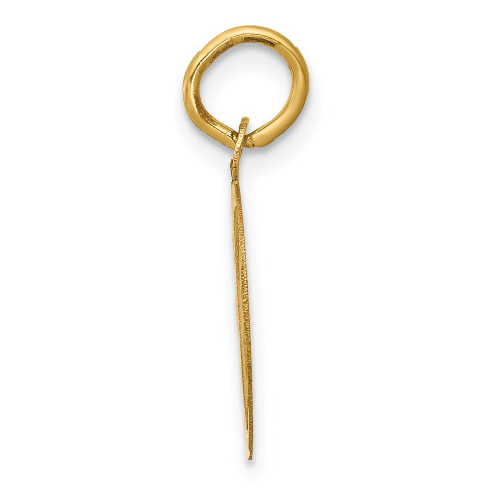 Million Charms 14K Yellow Gold Themed Graduation Day Charm