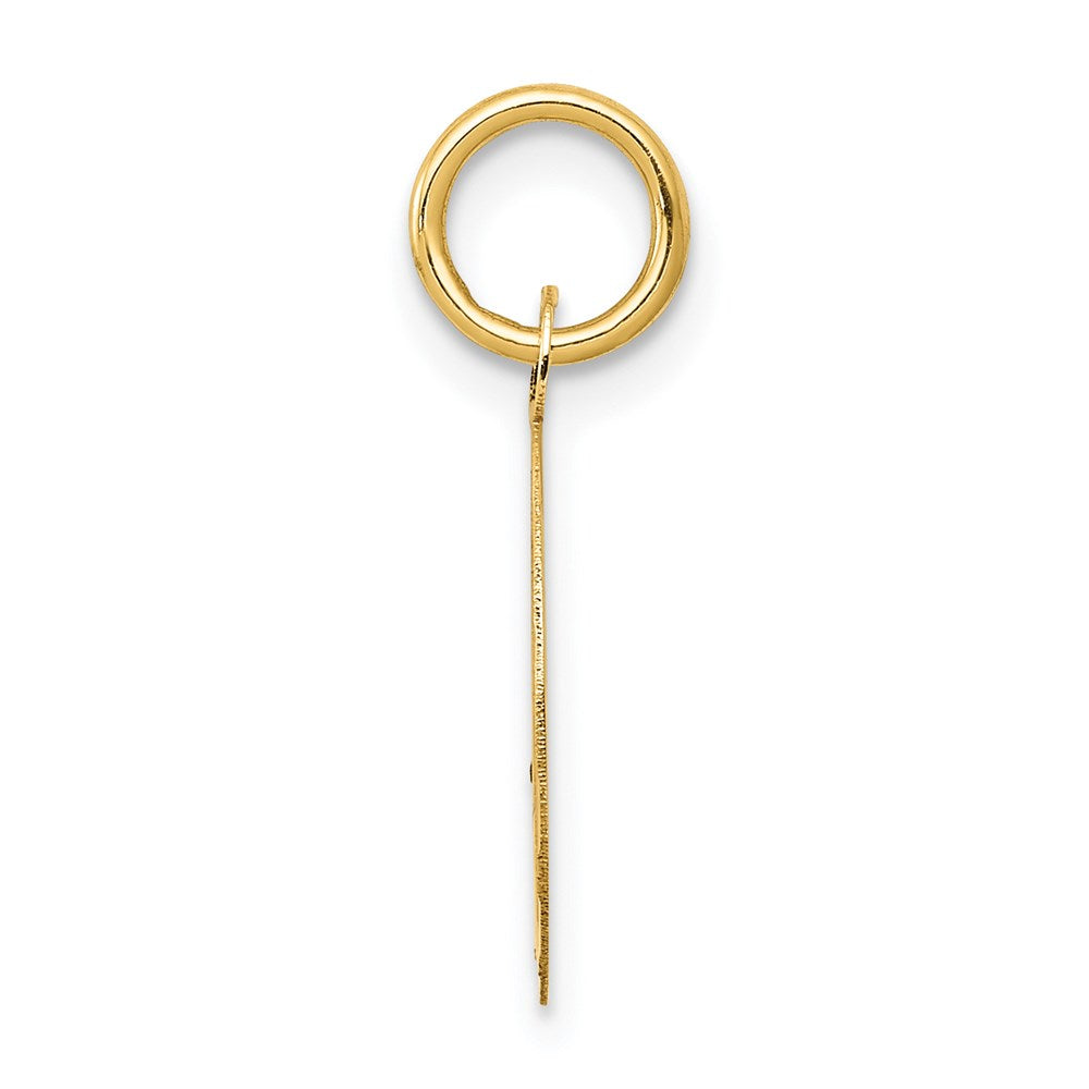 Million Charms 14K Yellow Gold Themed Sweet Sixteen Disc Charm