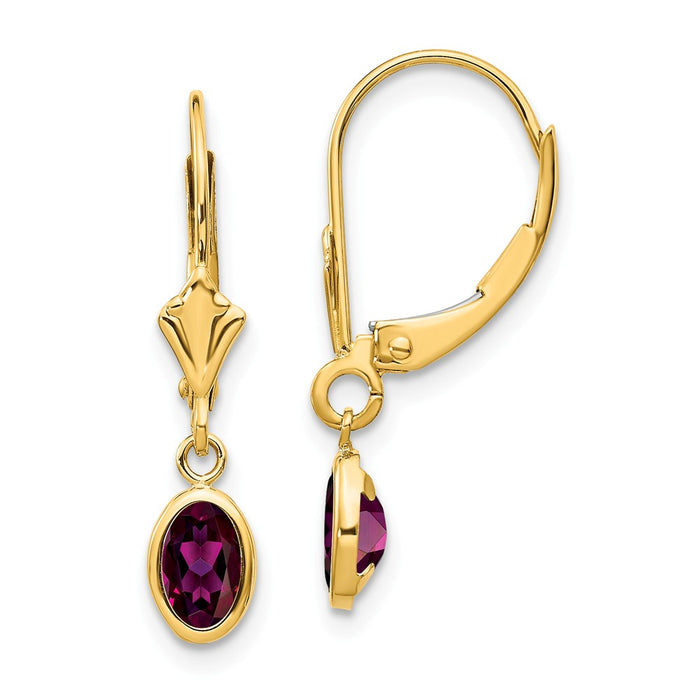 Million Charms 14k Yellow Gold 6x4 Oval Bezel June/Rhodolite Leverback Earrings, 23mm x 4mm