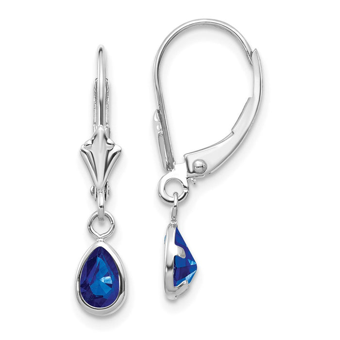 Million Charms 14k White Gold 6x4mm Sapphire/September Earrings, 23mm x 4mm