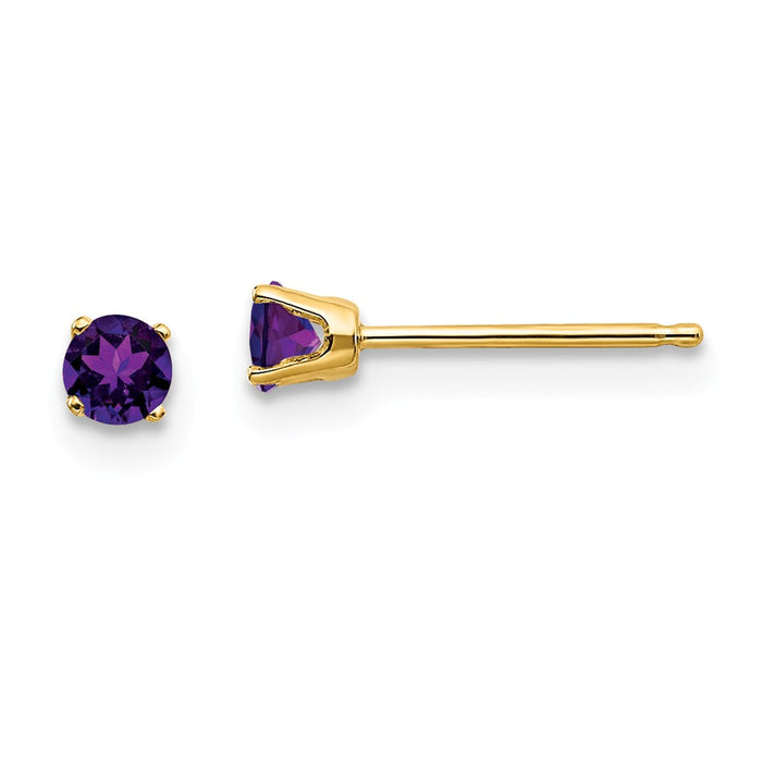 Million Charms 14k Yellow Gold 3mm February/Amethyst Post Earrings, 3mm x 3mm