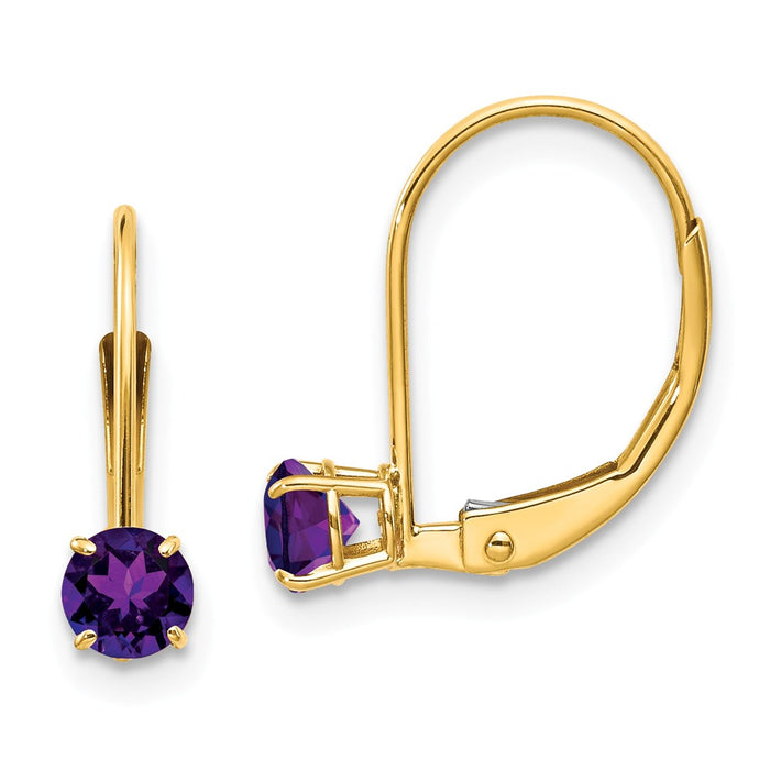 Million Charms 14k Yellow Gold Amethyst Earrings - February, 13mm x 4mm