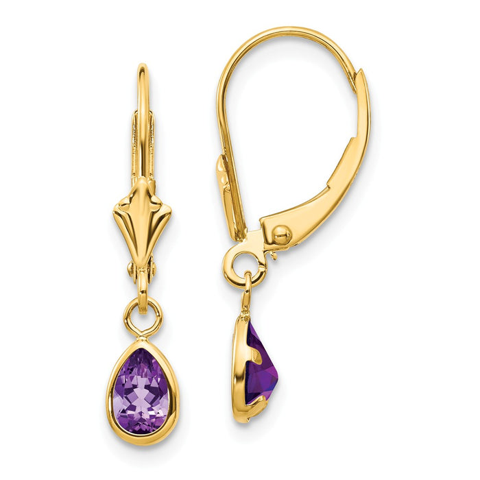 Million Charms 14k Yellow Gold 6x4mm Amethyst/February Earrings, 23mm x 4mm