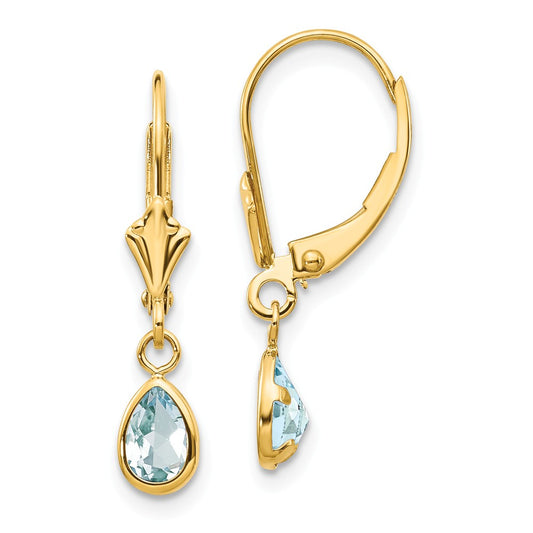 Million Charms 14k Yellow Gold 6x4mm March/Aquamarine Earrings, 23mm x 4mm