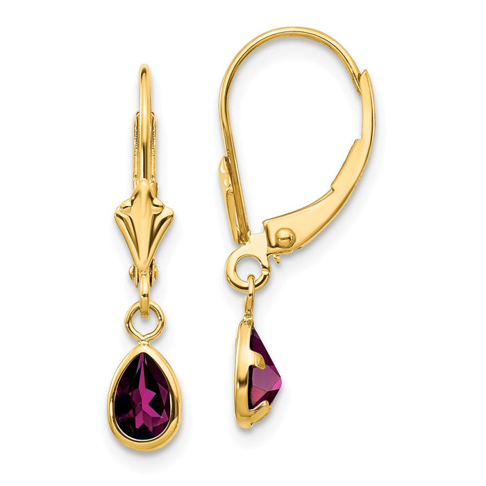 Million Charms 14k Yellow Gold 6x4mm Rhodolite Garnet/June Earrings, 23mm x 4mm