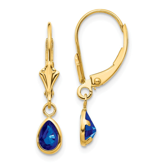 Million Charms 14k Yellow Gold 6x4mm September/Sapphire Earrings, 23mm x 4mm