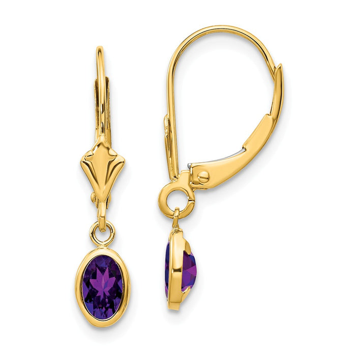 Million Charms 14k Yellow Gold 6x4mm February/Amethyst Earrings, 23mm x 4mm