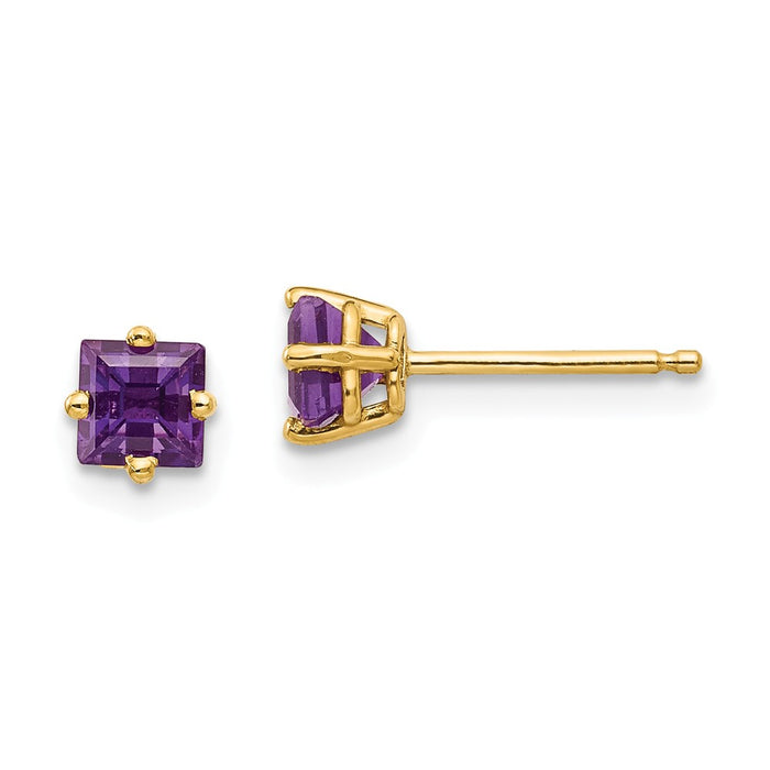 Million Charms 14k Yellow Gold 4mm Princess Cut Amethyst Earrings, 5mm x 5mm