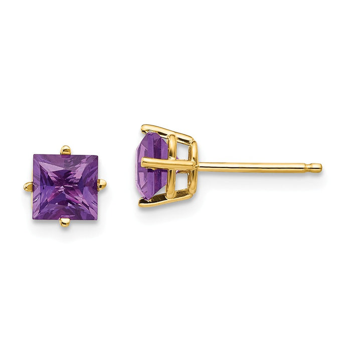 Million Charms 14k Yellow Gold 5mm Princess Cut Amethyst Earrings, 6mm x 6mm