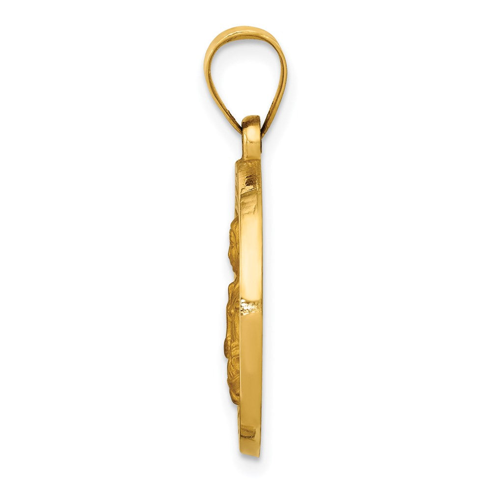 Million Charms 14K Yellow Gold Themed Polished & Satin Religious Saint Brigid Hollow Medal Pendant