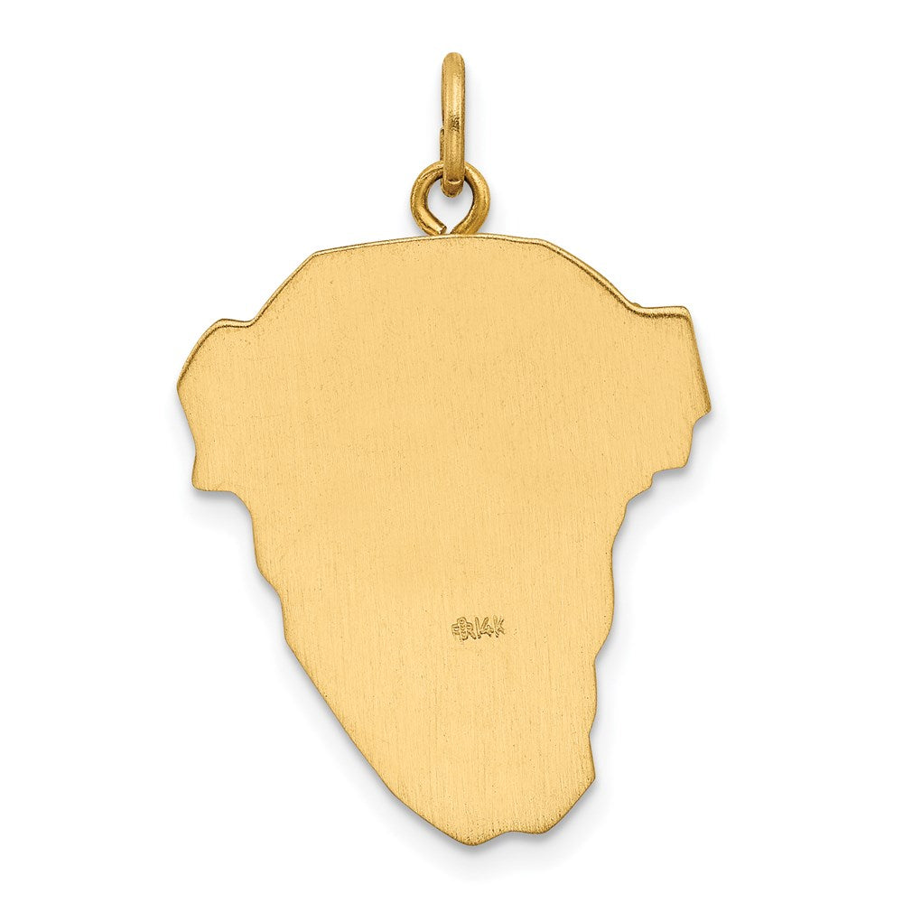 Million Charms 14K Yellow Gold Themed Hollow Polished/Satin Rhodium-Plated Large Jesus Medal