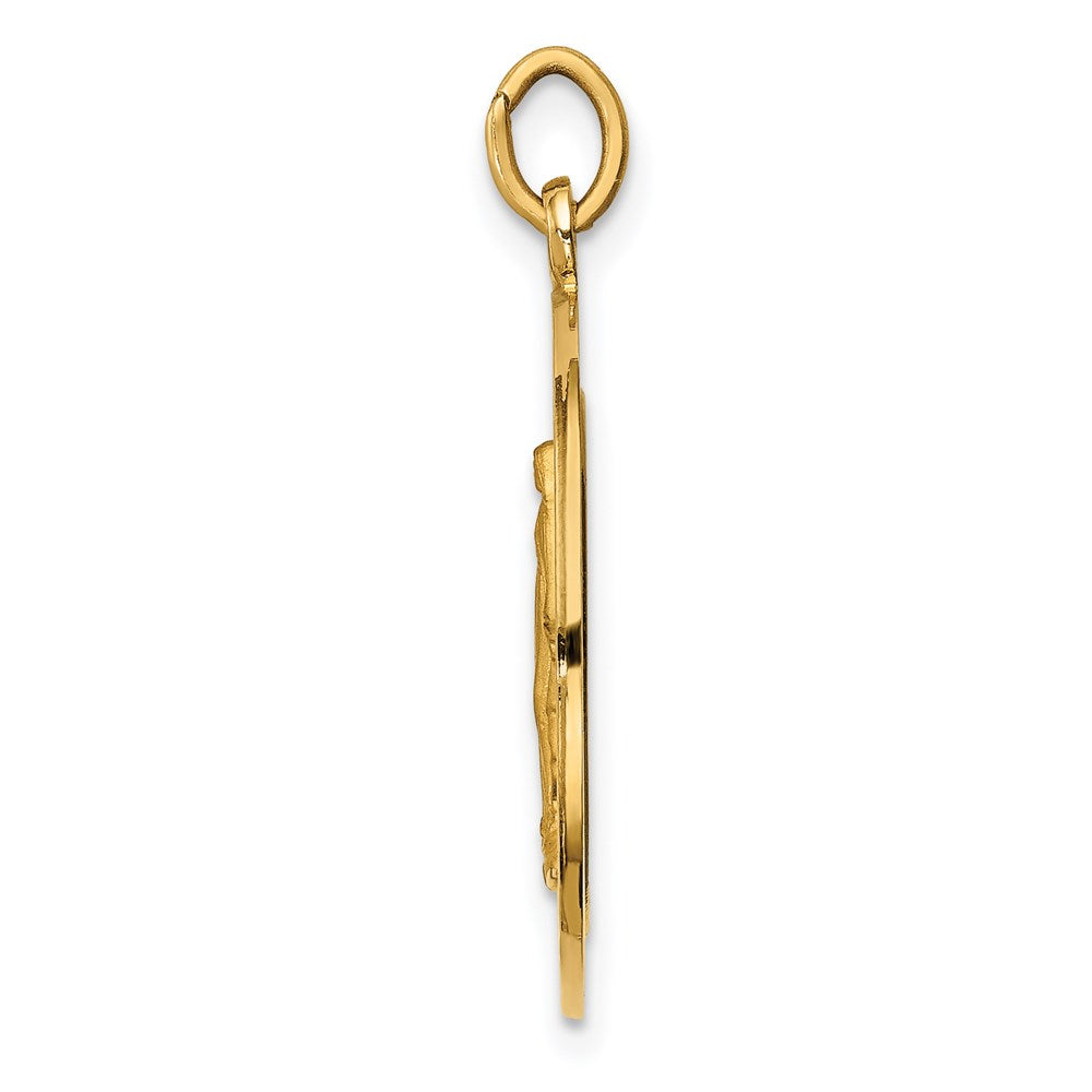 Million Charms 14K Yellow Gold Themed Solid Polished/Satin Medium Round Religious Miraculous Medal