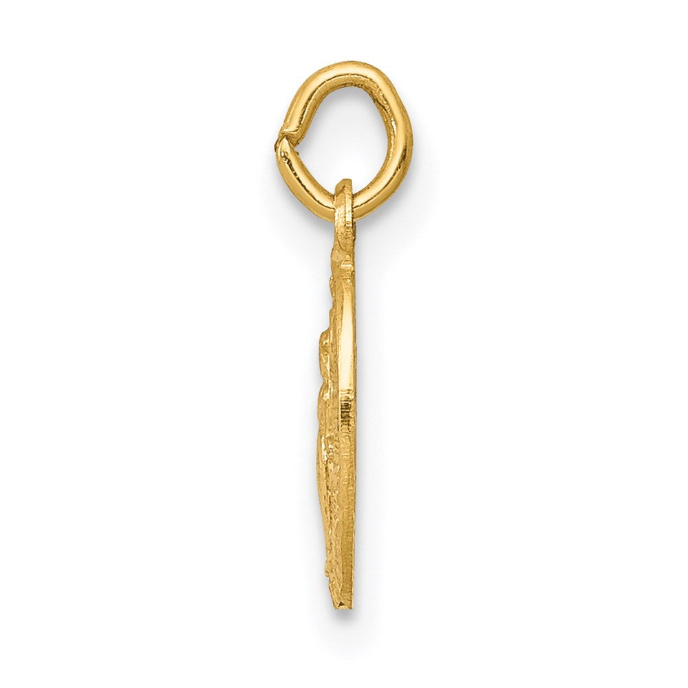 Million Charms 14K Yellow Gold Themed Religious Miraculous Medal Charm