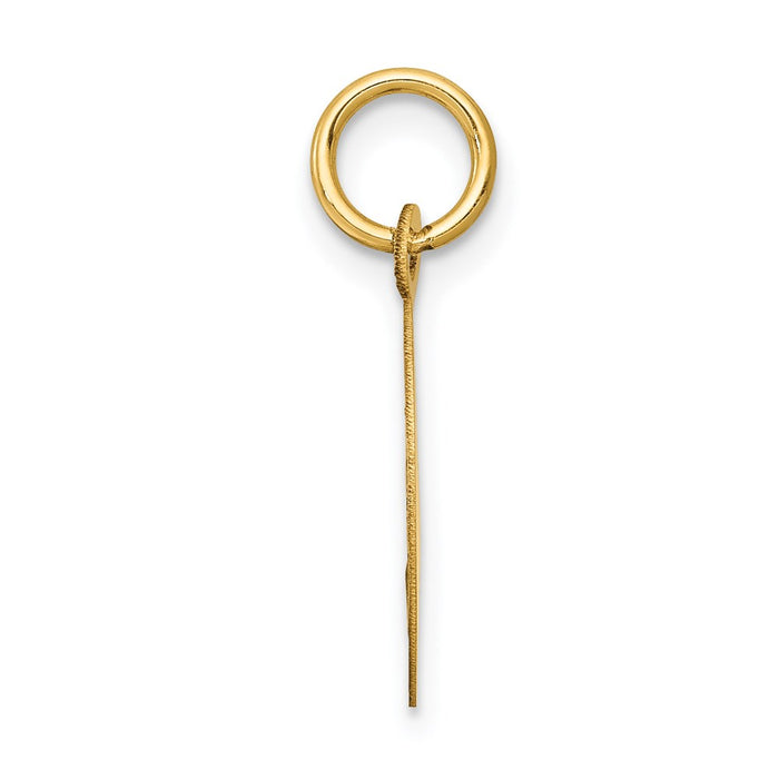 Million Charms 14K Yellow Gold Themed Religious Holy Communion Disc Charm