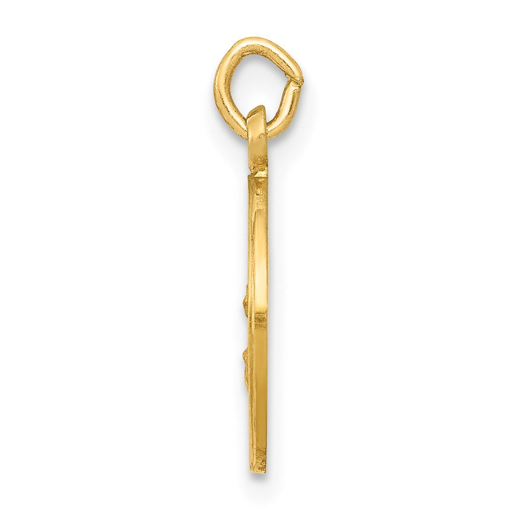 Million Charms 14K Yellow Gold Themed Relgious Our Lady Of The Assumption Medal Charm