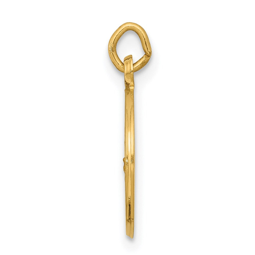 Million Charms 14K Yellow Gold Themed Relgious Our Lady Of Lourdes Medal Charm