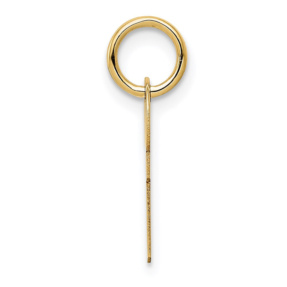 Million Charms 14K Yellow Gold Themed Polished Key Charm