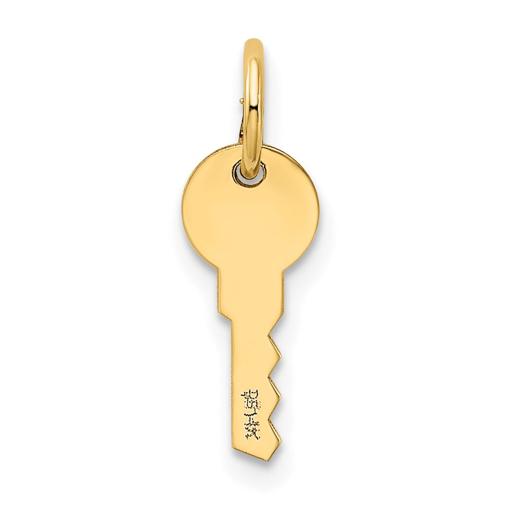Million Charms 14K Yellow Gold Themed Polished Key Charm