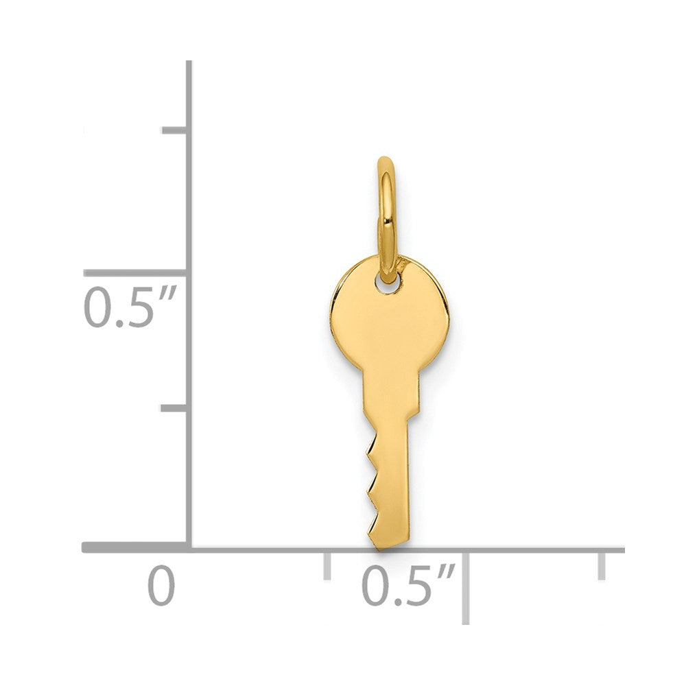 Million Charms 14K Yellow Gold Themed Polished Key Charm